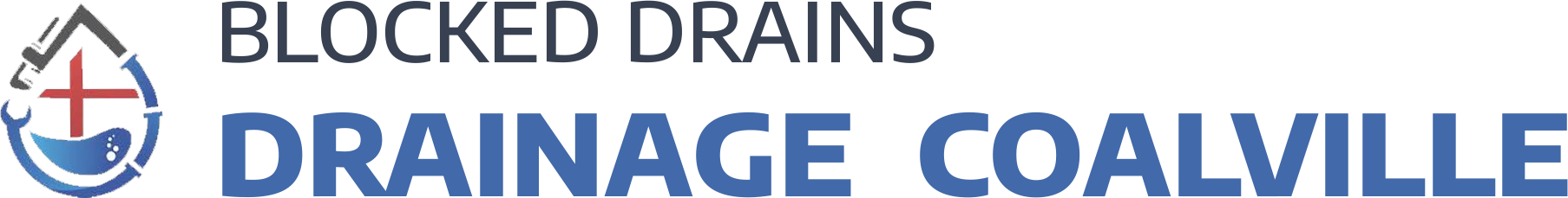 website logo